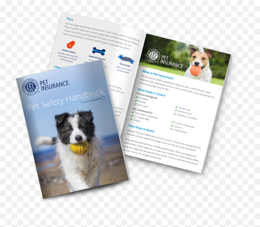 Pet Safety Handbook Breeder Benefit Akc Insurance - Photographic Paper Png,Australian Shepherd Icon