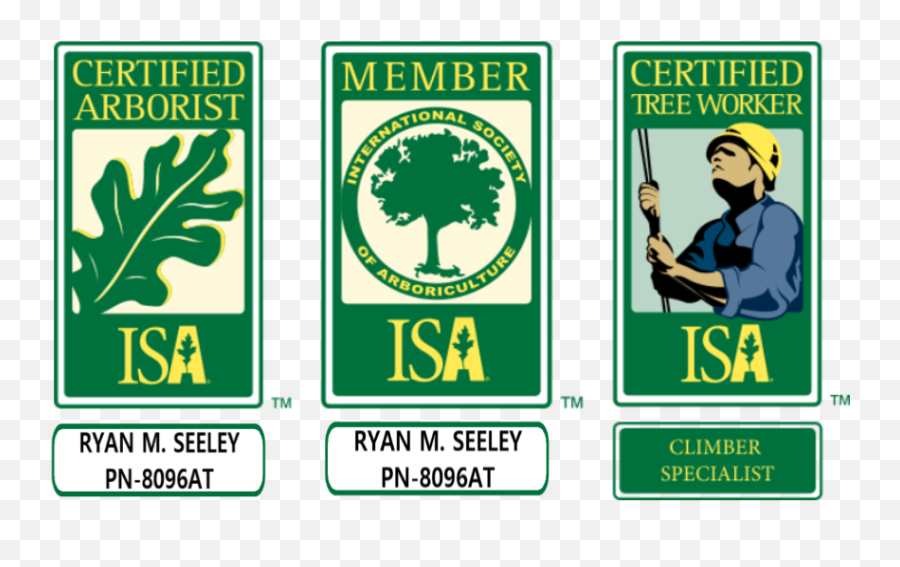 Maple Valley Tree Service Info - Isa Certified Arborist Png Clip,Perfect Storm Icon For Hire