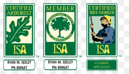 Maple Valley Tree Service Info - Isa Certified Arborist Png Clip
