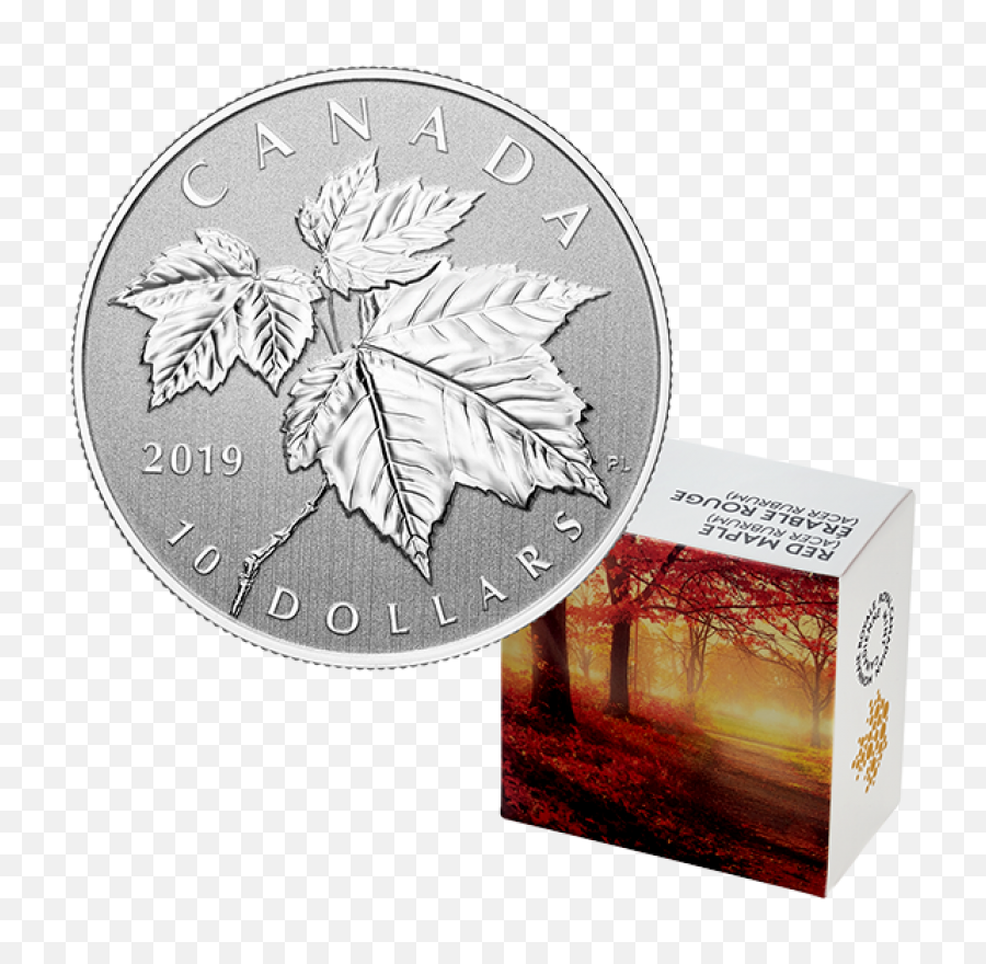 Canada Maple Leaf - Maple Leaf 1 2oz Silver Png,Canada Maple Leaf Png