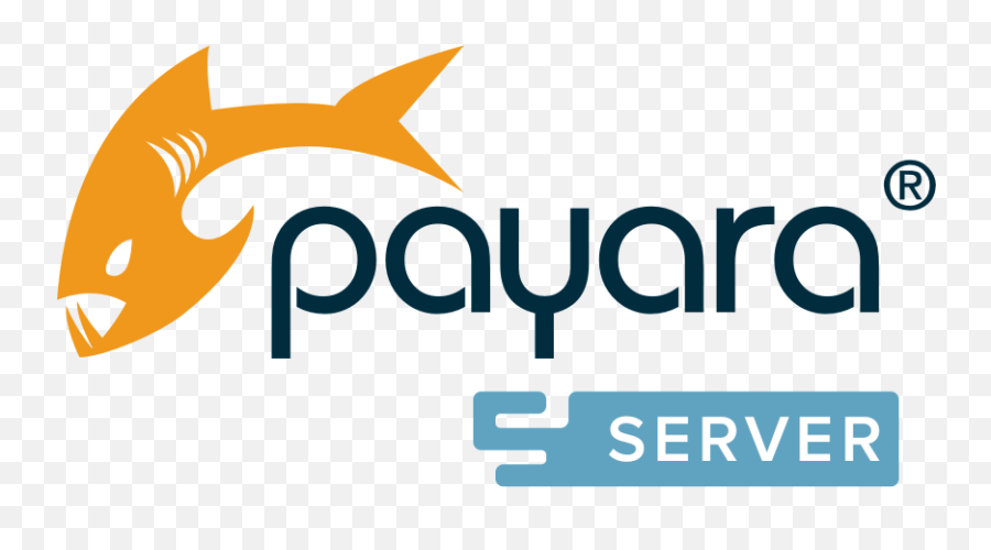 Jakarta Ee Compatible Products - Payara Server Logo Png,Application Server Icon