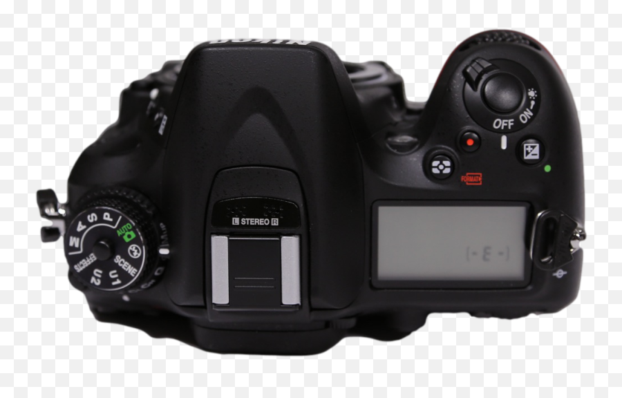 Nikon D7100 Dslr User Review - A Bugu0027s Eye View Of A Great Digital Slr Png,Nikon Icon