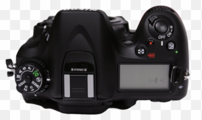 Nikon D7100 Dslr User Review - A Bugu0027s Eye View Of Great Digital Slr png