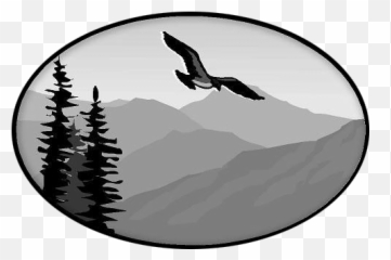 Sitemap For Website Hawk Mountain Tree Farm - Eagle png
