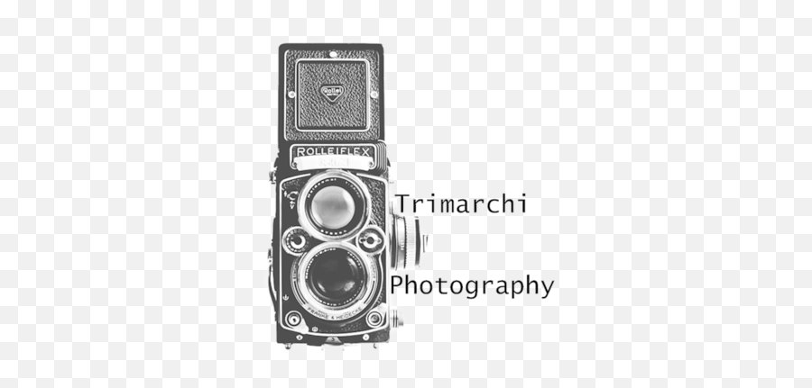 Behind The Camera - Trimarchi Photography Reflex Camera Png,Vintage Camera Icon Vector