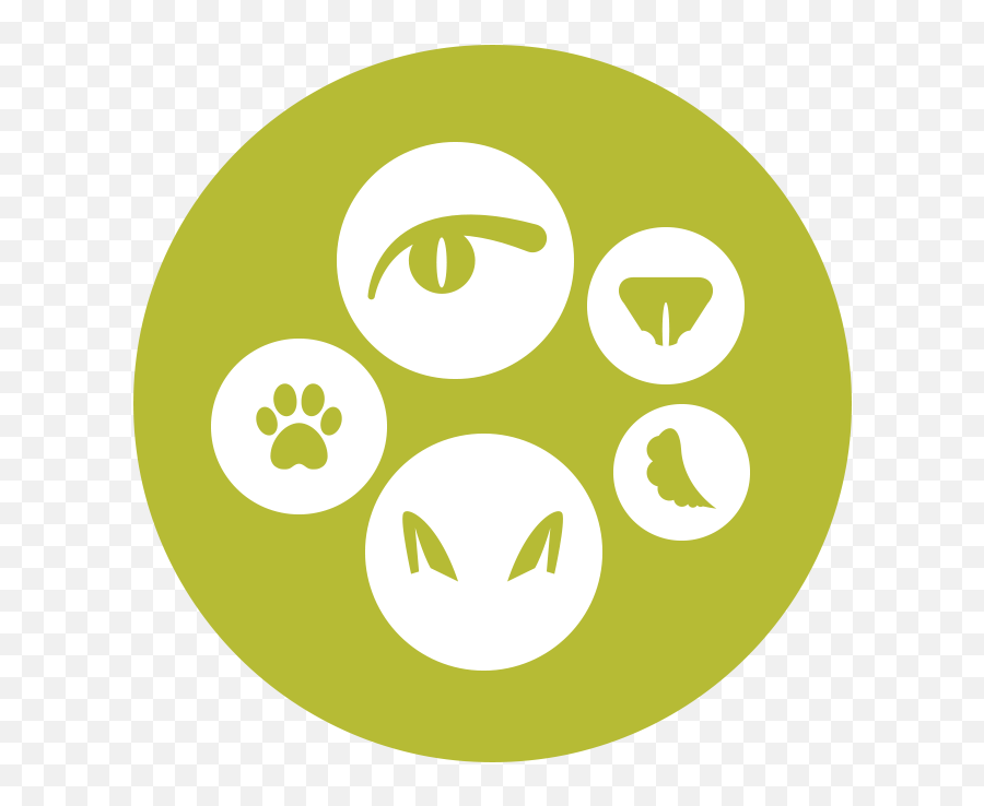 Which Cat Should I Get - Cat Breed Selector Tool Purina Dot Png,Cat Icon Text