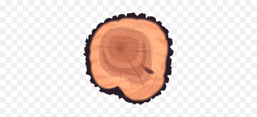 Download Wheel Eucalyptus Stump Tree Wood Trunk Clipart Png Patrick Icon