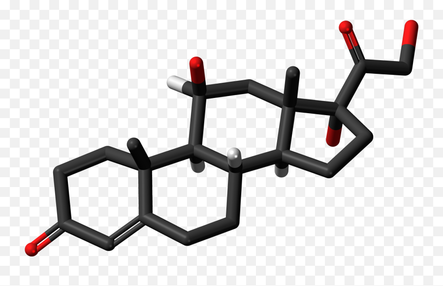 Filecortisol - 3dskeletalstickspng Wikimedia Commons Cortisol Png,Sticks Png
