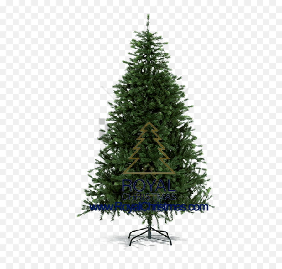 Download Hd Free Png Pine Tree For Christmas Image With - High Resolution Plain Christmas Tree,Free Christmas Png