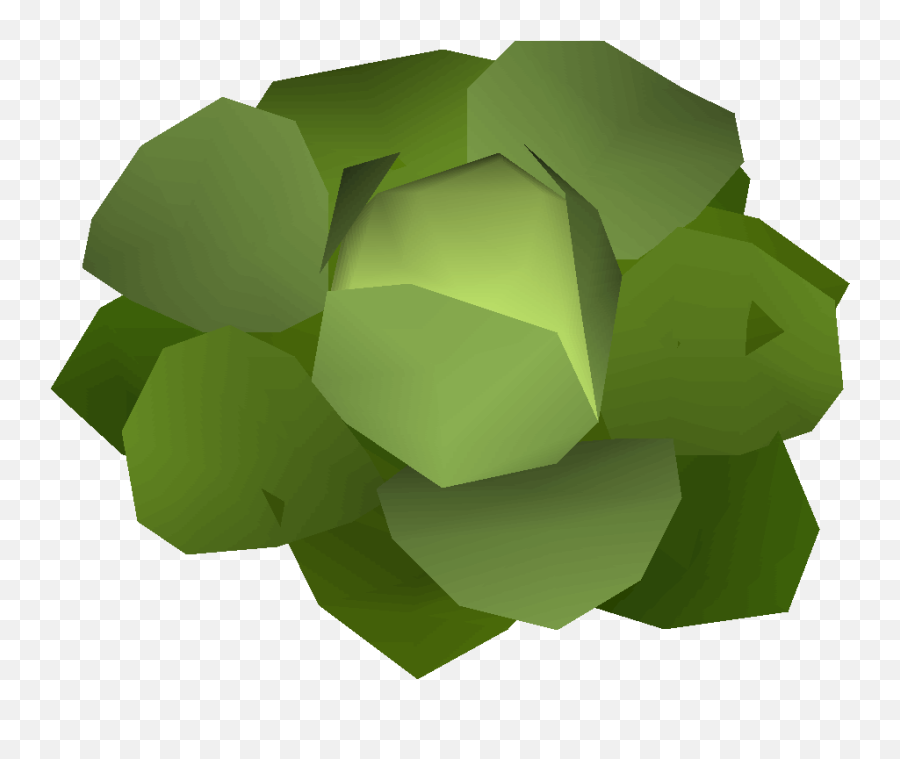 Cabbage Draynor Manor - Osrs Wiki Craft Png,Cabbage Png