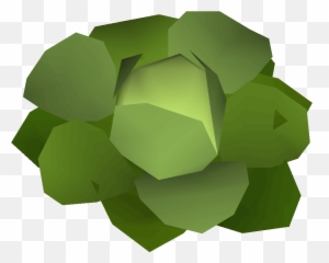 Cabbage Draynor Manor - Osrs Wiki Craft Png,Cabbage Png