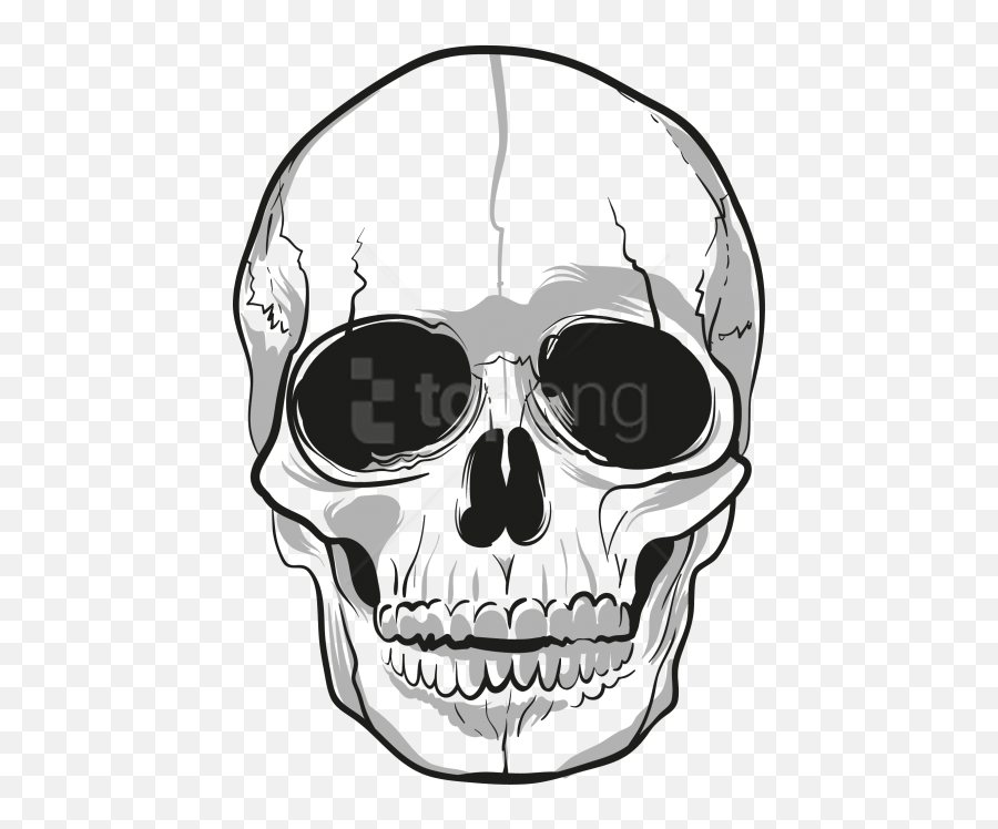 Hd Skull Png Download Image - Transparent Background Skull Png,Skull Transparent Background