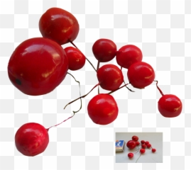 Mob Img - Red Berries Transparent Png,Berries Png
