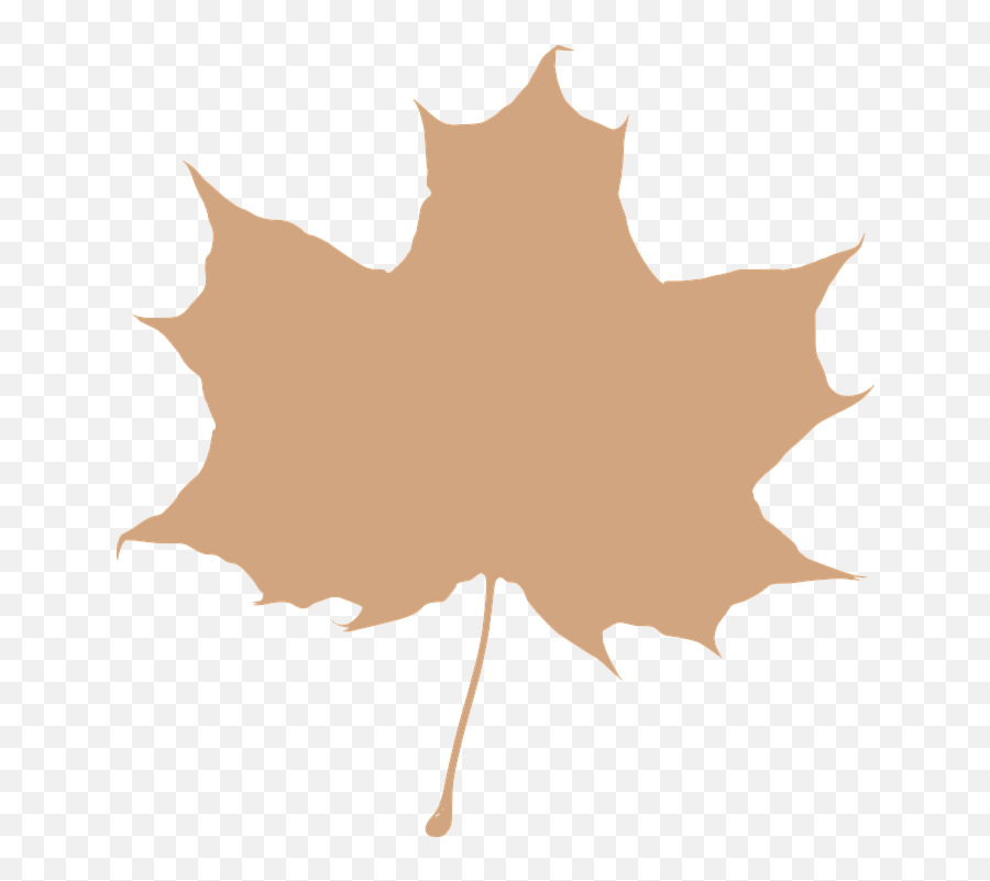 Maple Leaf Beige Silhouette - Free Vector Graphic On Pixabay Maple Leaf Clip Art Png,Maple Tree Png