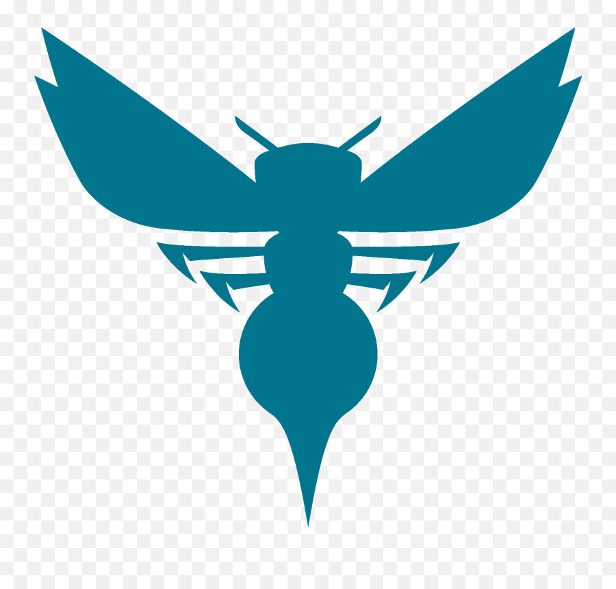 Charlotte Bobcats - Hornets Logo Png,Hornets Logo Png