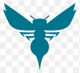 Charlotte Bobcats - Hornets Logo Png,Hornets Logo Png