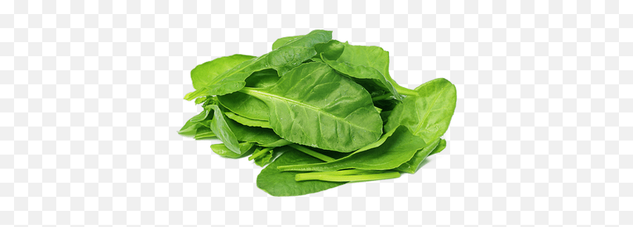 Download Spinach Transparent Png - Five Pictures Of Healthy Food,Spinach Png