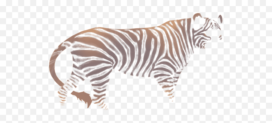 Hellebore Zebra Lioden - Lioden Marking Neutral Pose Png,Zebra Png