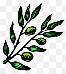 Download Free Online Website Malware Scanner - Olive Branch png