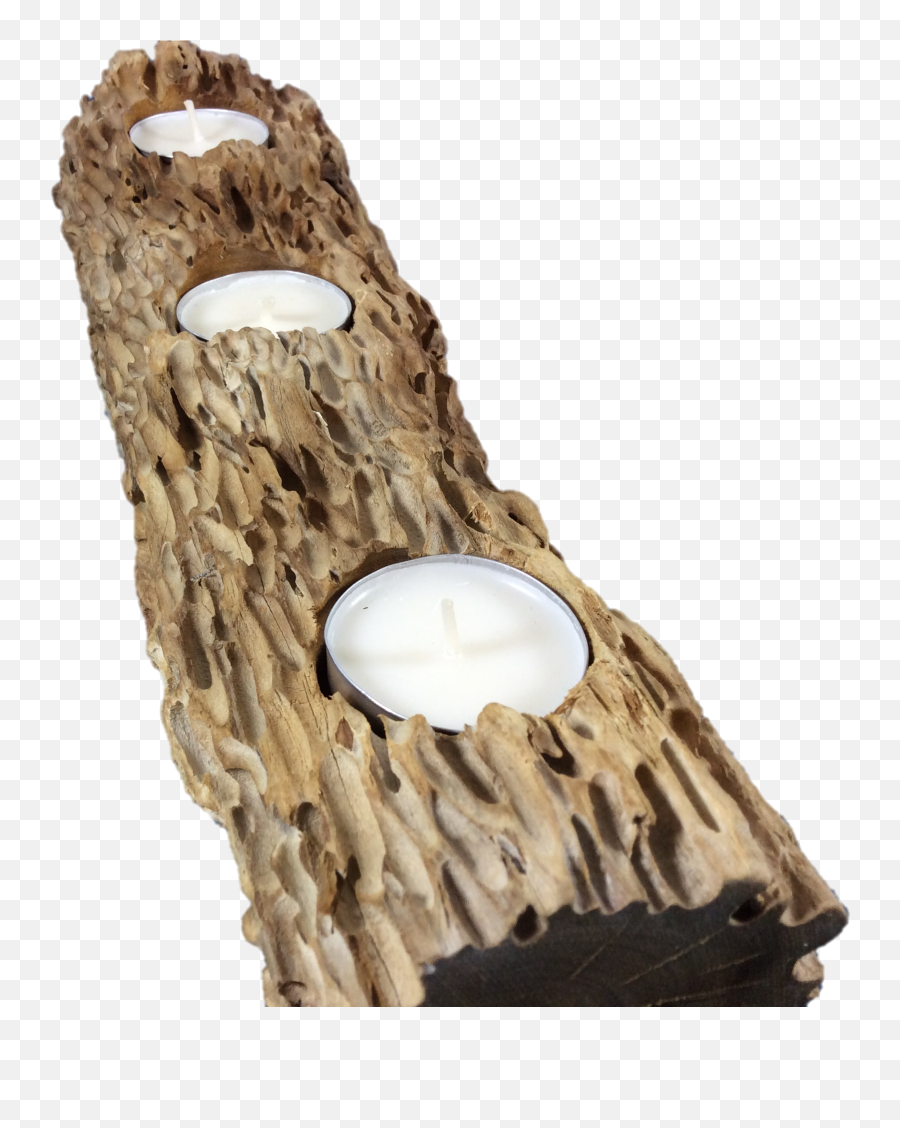 Download Driftwood Png