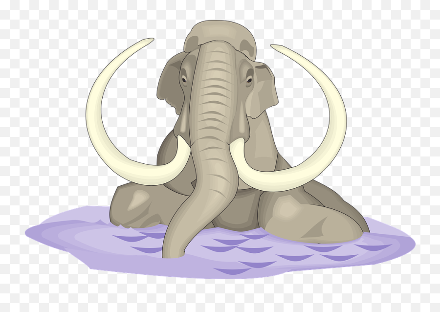 Water Elephant Animal - Colmillos De Elefante Dibujo Png,Tusk Png