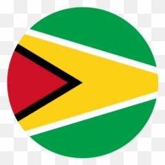 Vector Country Flag Of Guyana - Guyana Flag In A Circle Png,Guyana Flag Png