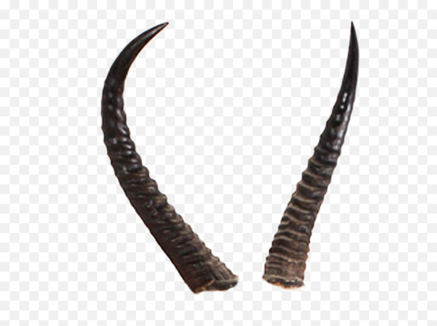 Devils Horn Transparent Image - Realistic Devil Horns Transparent Background Png,Devil Horns Transparent Background