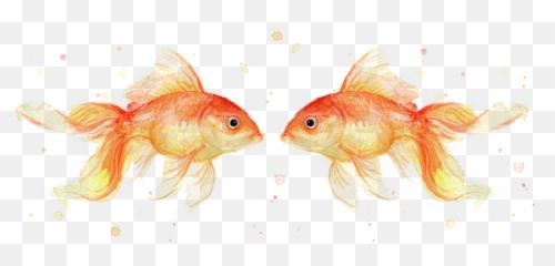 Goldfish Love Watercolor Tank Top - Goldfish Painting Watercolor Png,Goldfish Transparent