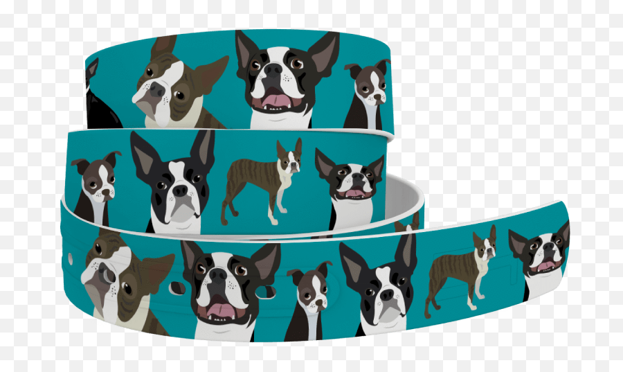 Boston Terrier Belt - Toy Dog Png,Boston Terrier Png