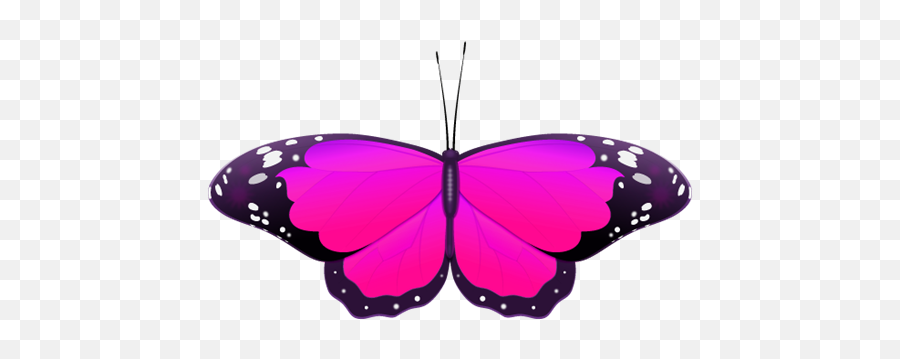 Purple Butterfly - Pink Butterfly Clipart Free Hd Png Butterfly Pink And Violet,Butterfly Clipart Png