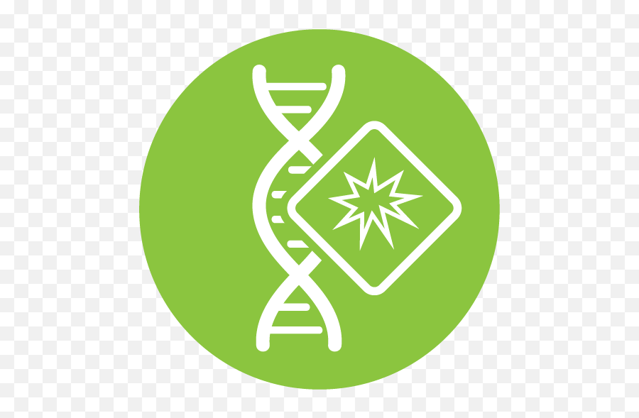Twinstrand Biosciences - Language Png,Sequencing Icon