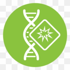 Twinstrand Biosciences - Language png