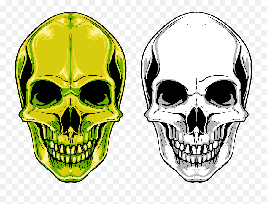 Download Euclidean Vector Skull Png Free Photo Clipart - Vector Skull Png,Skull Png Transparent