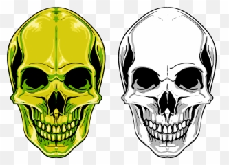 Download Euclidean Vector Skull Png Free Photo Clipart - Png