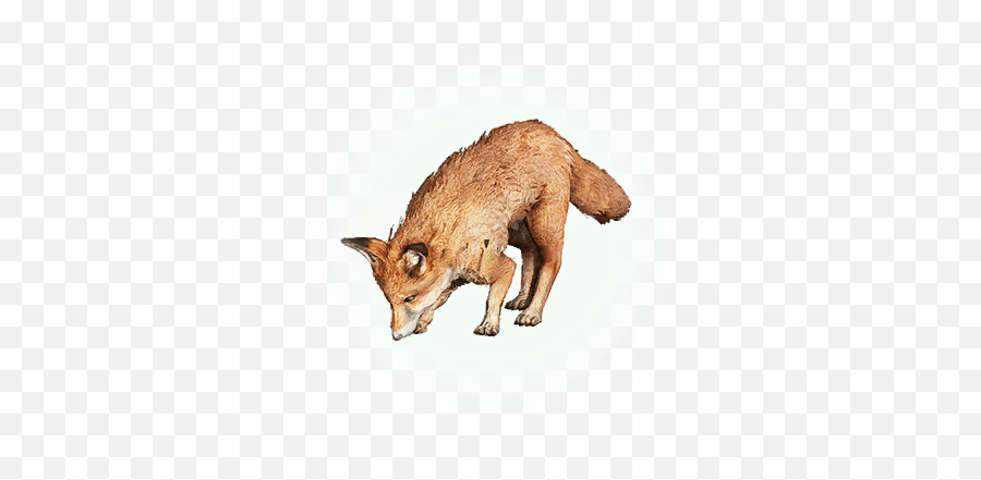 Bdo Fox - Bdo Fox Png,Bdo Red Helmet Icon