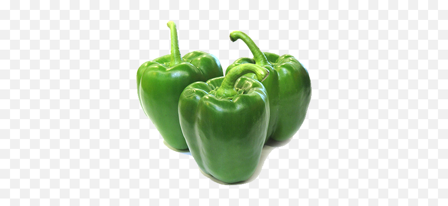 Green Pepper - Bell Pepper Png,Green Pepper Png