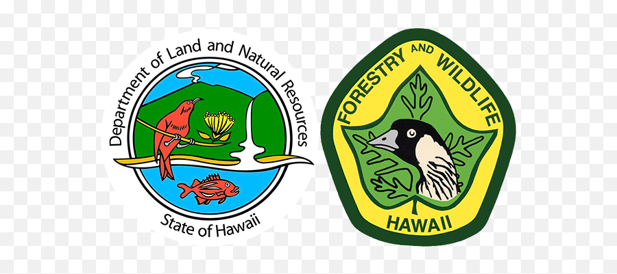Division Of Forestry And Wildlife - Language Png,Forest Service Avian Icon