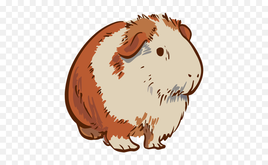 Semi Frontal Guinea Pig Illustration Transparent Png U0026 Svg - Conejillo De Indias Png,Guinea Pig Icon