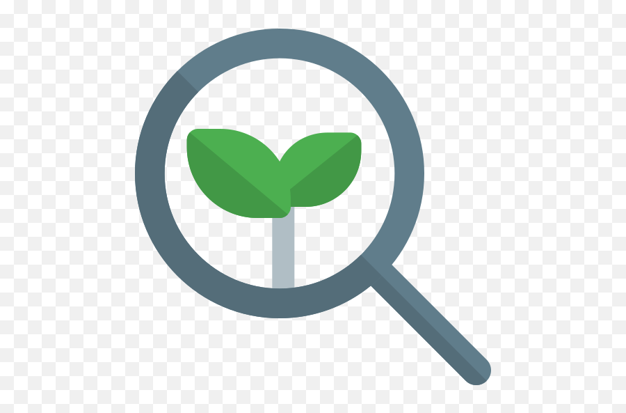 Organic Search - Free Ecology And Environment Icons Organic Search Icon Png,Search Icon Images