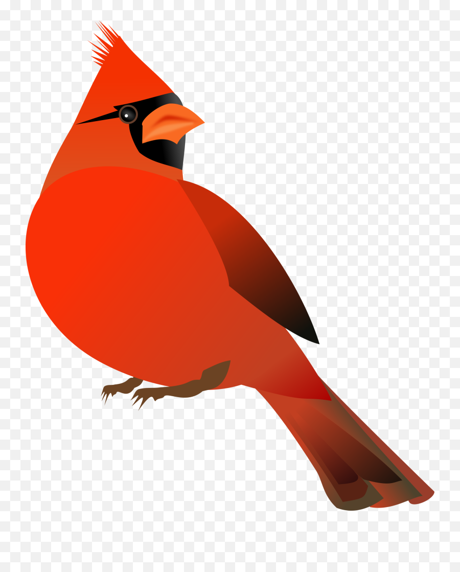 Cardinal Bird Png 4 Image - Cardinal Clipart Free,Cardinal Png