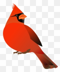 Cardinal Bird Png 4 Image - Clipart Free