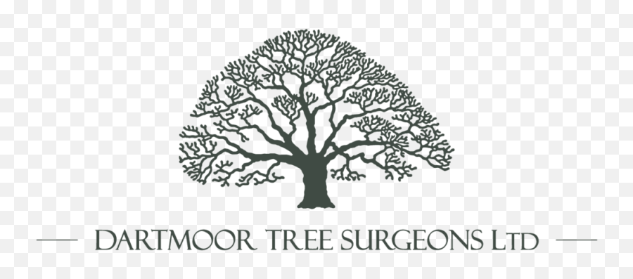 Dartmoor Tree Surgeons Ltd - Colegio San Angel De Puebla Png,Black Tree Logo