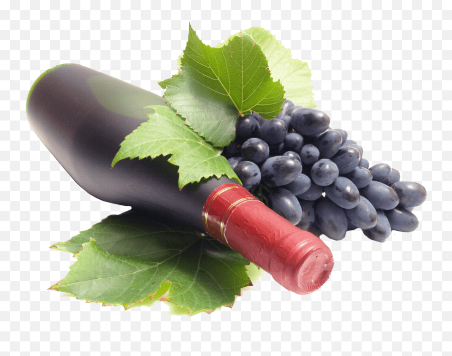 Download Hd Free Png Black Grapes Images Transparent - Blvk Unicorn Jruit Box,Grapes Png