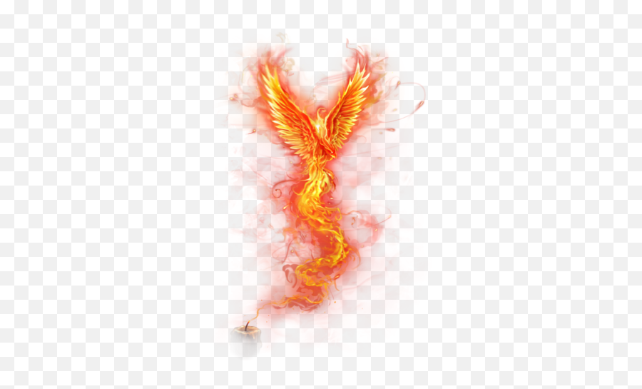 Download Hd Fire And Phoenix Image Png Transparent