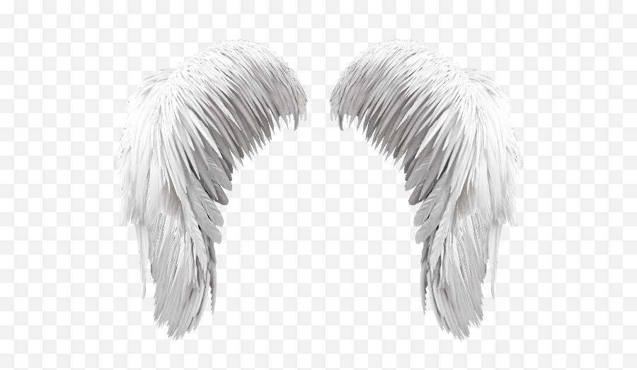 Halo Clipart Angels Wing - Png Angel Wings Photoshop,Wing Png