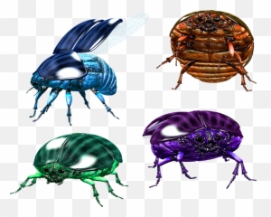 Bug Insect Beetle - Free Image On Pixabay Kumbang Scarab Png,Beetle Png