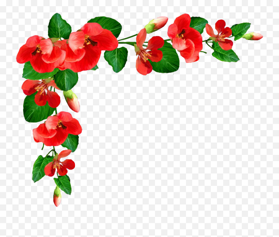 Poppy Flower Frame Png Picture Mart - Transparent Poppy Flower Border,Flower Frame Png