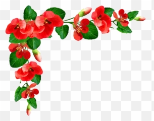 Poppy Flower Frame Png Picture Mart - Transparent Border