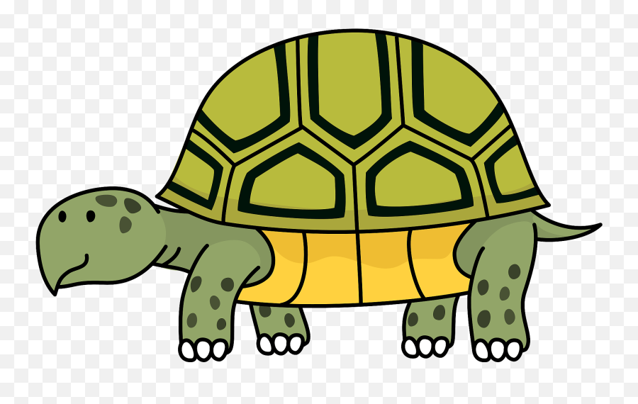 Turtle Tortoise Animal Clipart - Desert Tortoise Clipart Png,Tortoise Png