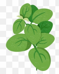 Download Spinach Leaves - Spinach Png Image With No Illustration,Spinach Png